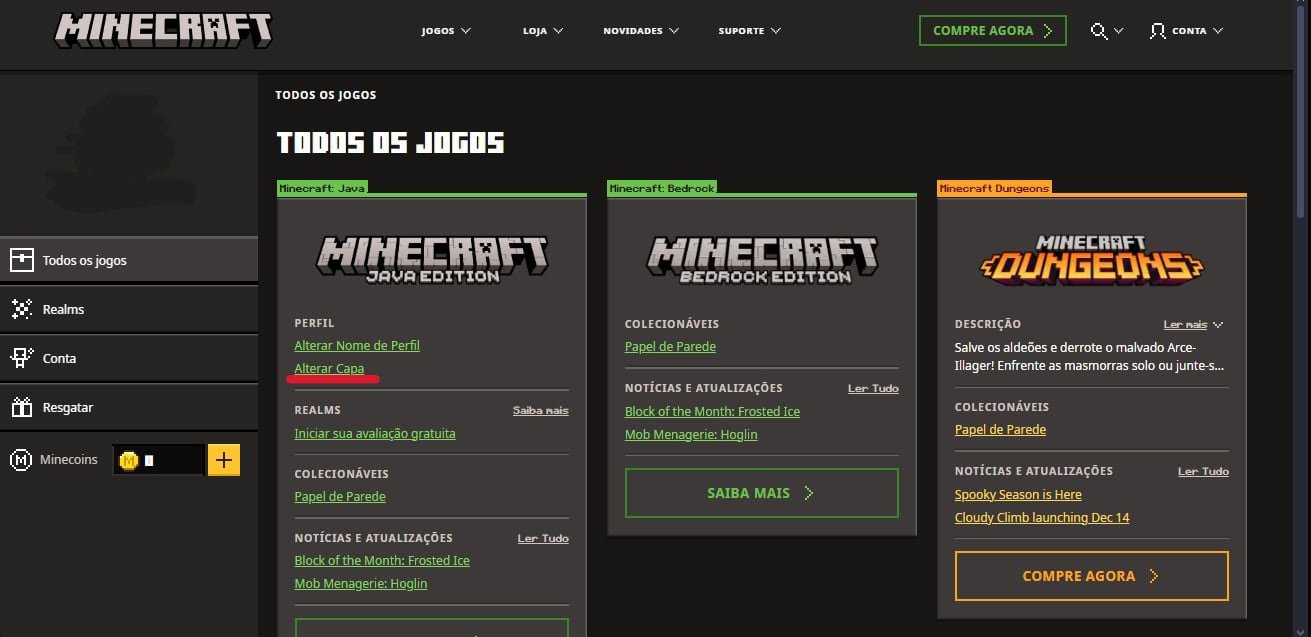 Minecraft screen playback (Reproduction: Marcelo Valladão)