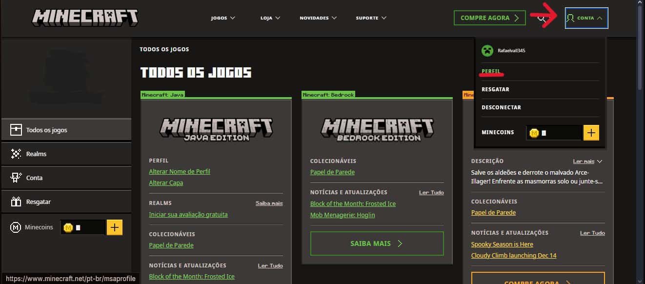 Minecraft screen playback (Reproduction: Marcelo Valladão)