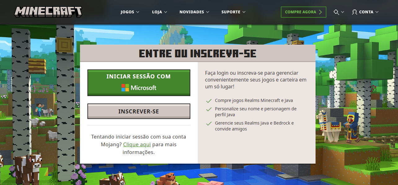 Minecraft screen playback (Reproduction: Marcelo Valladão)